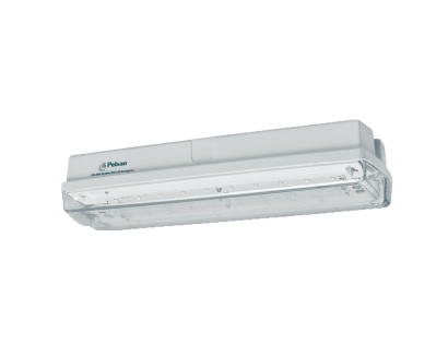 Ausled IP65 Emergency